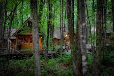 Ormanda dikilen Loca 'nın resmi. Çekim Konumu: Hokkaido Furano