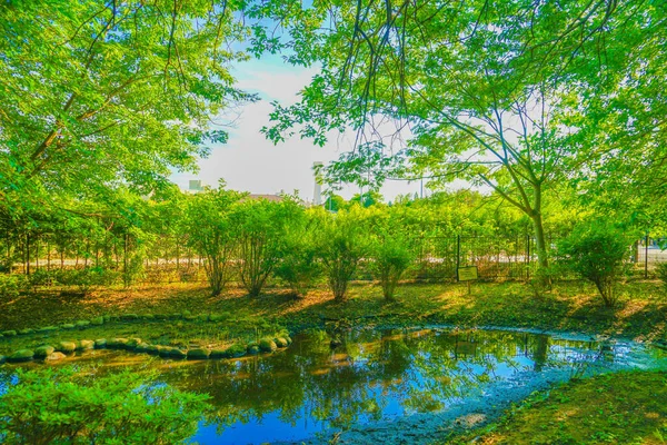 Broadley Green Road Park Cidade Tachikawa Localização Tiro Tachikawa City — Fotografia de Stock