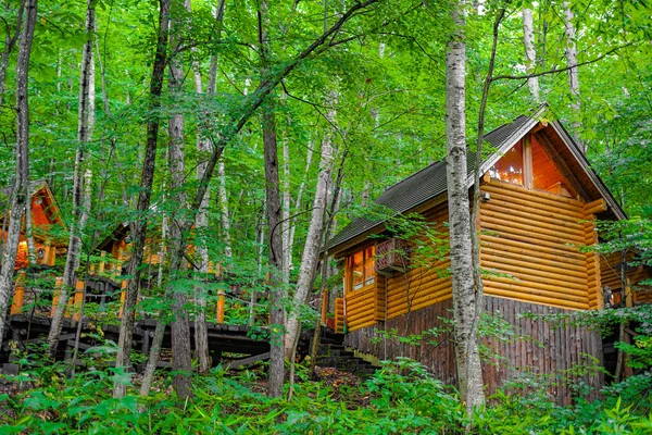 Image Lodge Debout Dans Forêt Lieu Tournage Hokkaido Furano — Photo