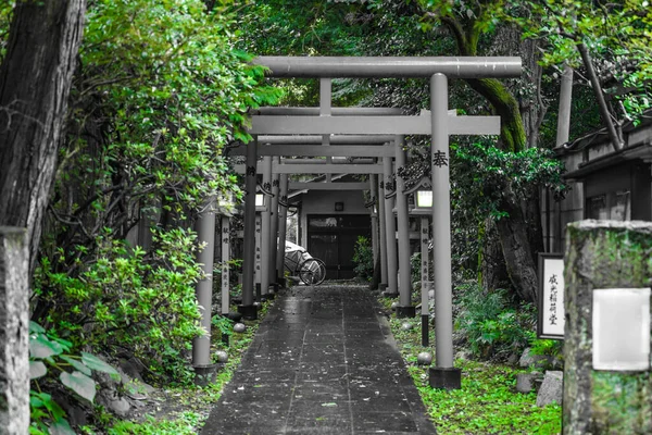 Cidade Verde Esverdeado Novo Cidade Vale Localização Tiroteio Tóquio Área — Fotografia de Stock