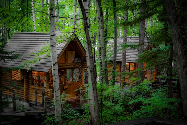 Image Lodge Standing Forest Shooting Location Hokkaido Furano — Stock Photo, Image