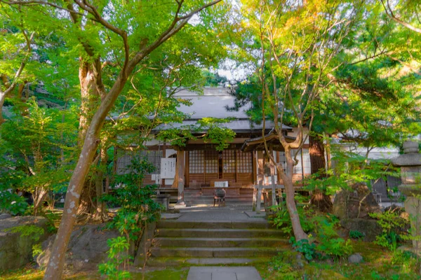 Nuevo Verde Crepúsculo Círculo Ubicación Del Disparo Prefectura Kanagawa Kamakura — Foto de Stock