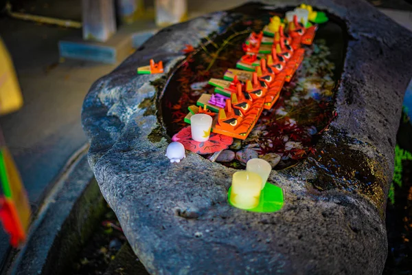 Söt Demondocka Kanagawa Prefektur Kamakura Stad Skytte Plats Kanagawa Län — Stockfoto