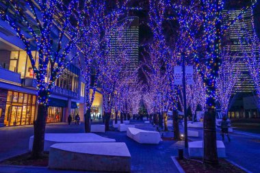 Yokohama Minato Mirai 'nin Noel Aydınlanması. Çekim yeri: Yokohama-şehir kanagawa ili
