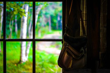 Karanlık odadan görünen yeni bir yeşillik. Çekim Konumu: Hokkaido