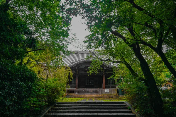 City New Greenish Green City Valley Shooting Location Tokyo Metropolitan — Stock Photo, Image