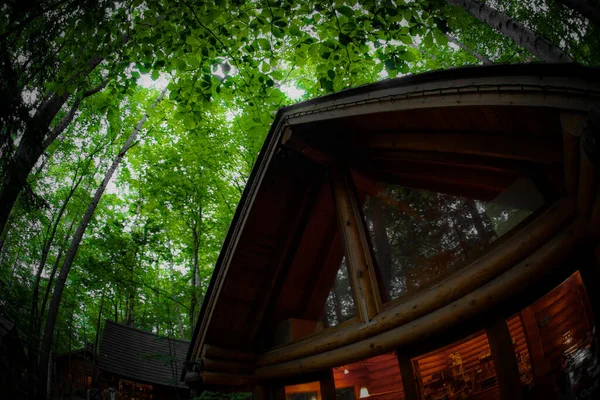 Immagine Lodge Piedi Nella Foresta Luogo Delle Riprese Hokkaido Furano — Foto Stock