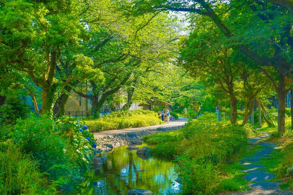 Broadley Green Road Park Cidade Tachikawa Localização Tiro Tachikawa City — Fotografia de Stock