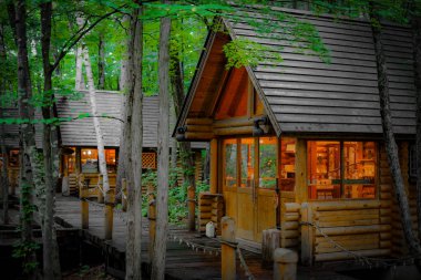 Ormanda dikilen Loca 'nın resmi. Çekim Konumu: Hokkaido Furano