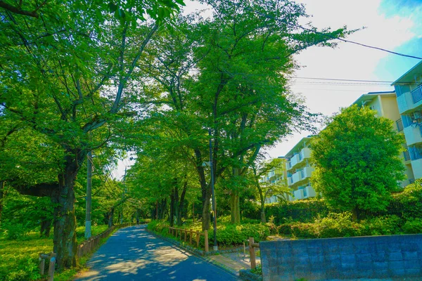 Broadley Green Road Park Tachikawa Şehri Çekim Yeri Tachikawa Şehri — Stok fotoğraf