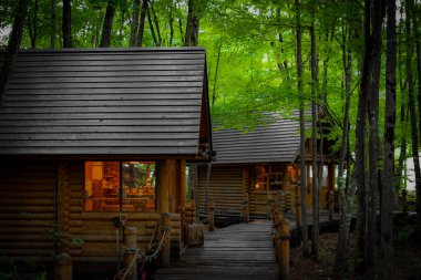 Ormanda dikilen Loca 'nın resmi. Çekim Konumu: Hokkaido Furano