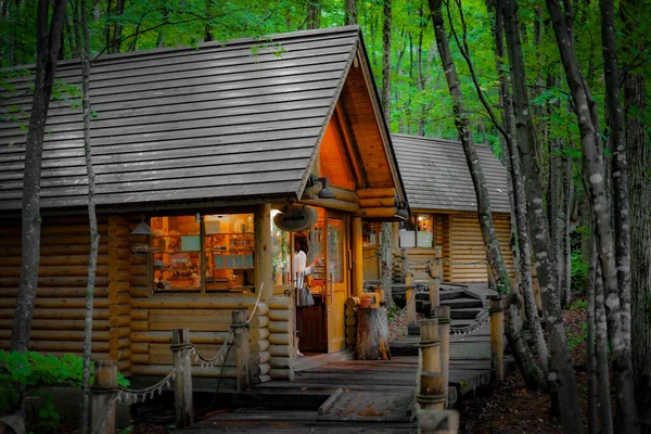 Immagine Lodge Piedi Nella Foresta Luogo Delle Riprese Hokkaido Furano — Foto Stock