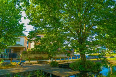 Broadley Green Road Park (Tachikawa Şehri). Çekim yeri: Tachikawa Şehri, Tokyo