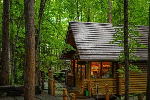 Immagine Lodge Piedi Nella Foresta Luogo Delle Riprese Hokkaido Furano — Foto Stock