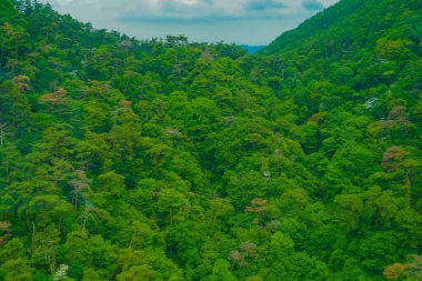Rokko At Ropeway 'den sahne. Çekim yeri: Kobe şehri, Hyogo Bölgesi