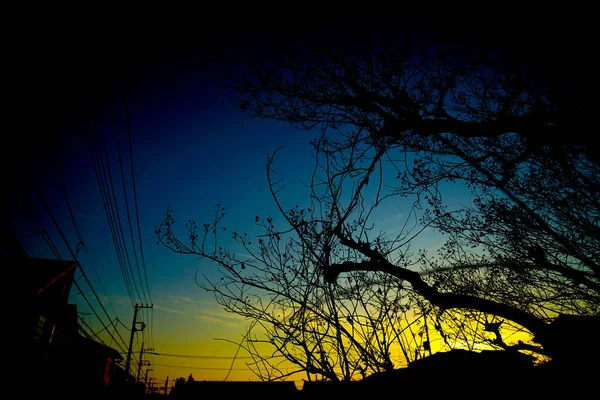 Silhuett Gradient Himmel Och Elektrisk Tråd Fotografering Plats Tokyo Storstadsområde — Stockfoto