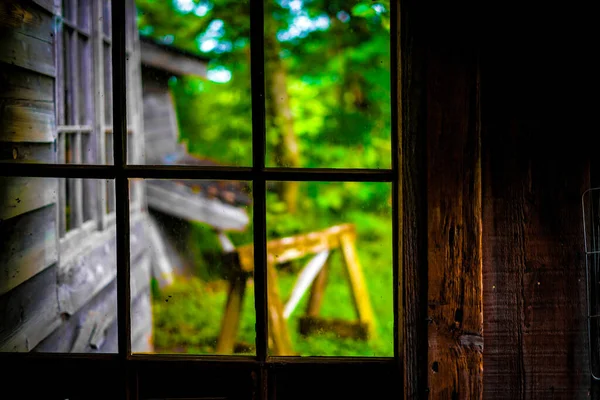 Nova Vegetação Vista Quarto Escuro Localização Tiroteio Hokkaido — Fotografia de Stock