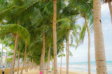 Tayland 'daki Pattaya Sahili' nin resmi. Çekim yeri: Tayland, Ayutthaya