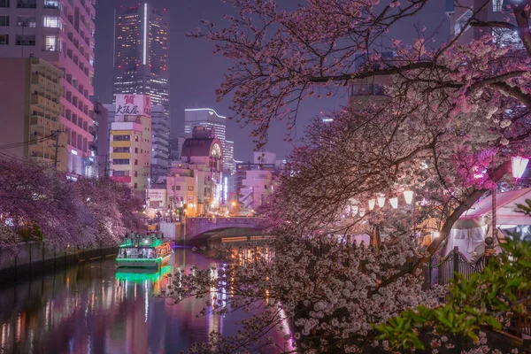 Promenada Ookigawa Noc Sakura Obraz Strzelanie Lokalizacja Yokohama City Prefektura — Zdjęcie stockowe