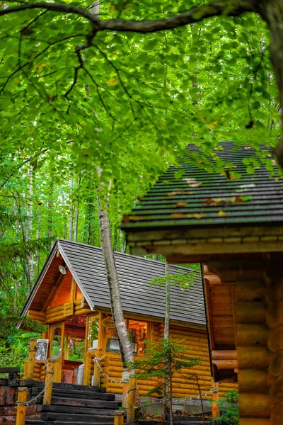 Image Lodge Debout Dans Forêt Lieu Tournage Hokkaido Furano — Photo