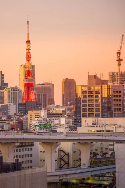 Tokyo Stadsbild Sett Utifrån Rainbow Bridge Fotografering Plats Tokyo Storstadsområde — Stockfoto