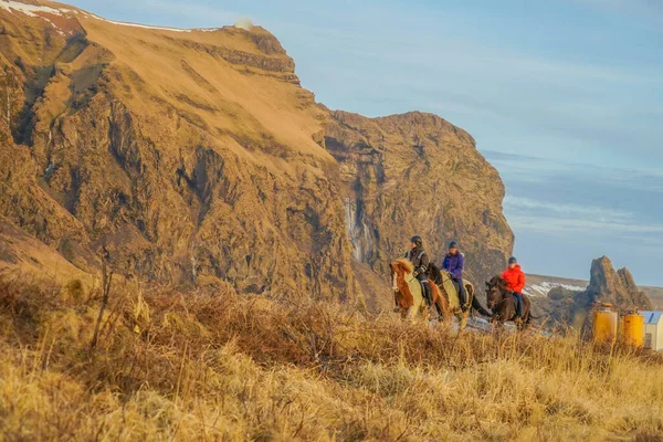 Лошадь Идет Побережью Ледников Место Съемки Исландия — стоковое фото