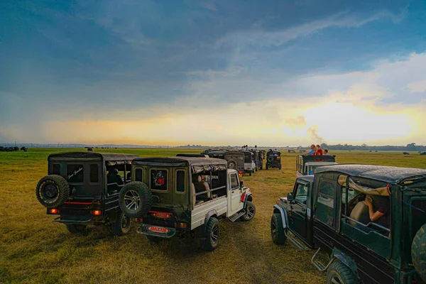 Minneria National Park Safari Tour Ubicación Del Disparo Sri Lanka — Foto de Stock