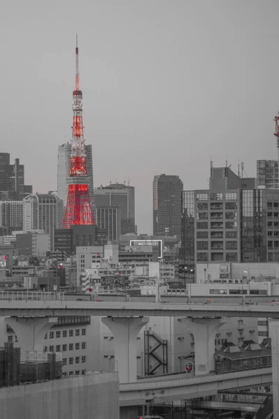 Tokio Stadsgezicht Vanaf Rainbow Bridge Schietplaats Grootstedelijk Gebied Van Tokio — Stockfoto