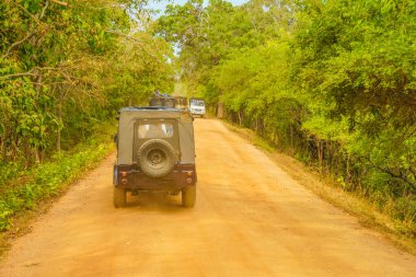 Minneria Ulusal Park Safari Turu. Çekim Konumu: Sri Lanka