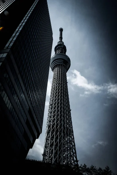 Tokyo Sky Tree Monochrom Einfarbige Behandlung Drehort Großraum Tokio — Stockfoto