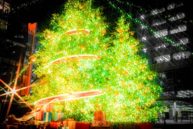 Şehir meydanındaki dev ağaç.