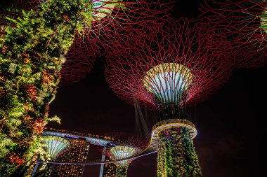 Geceleri kırmızı parlayan dev bir ağaç.