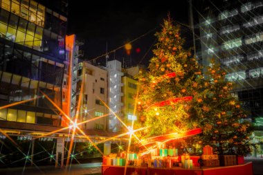 Şehri aydınlatan bir ağaç.