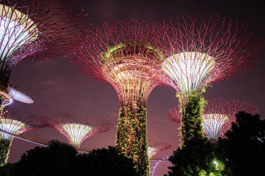 Geceleri parlayan Singapurlar