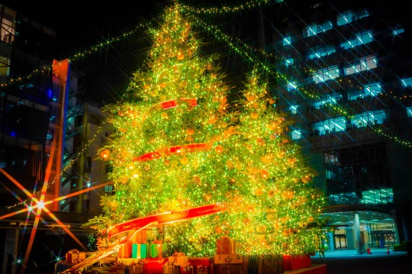 Sıralanmış Noel ağaçları