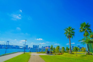 Toyosus mavi gökyüzü ve çimenli park