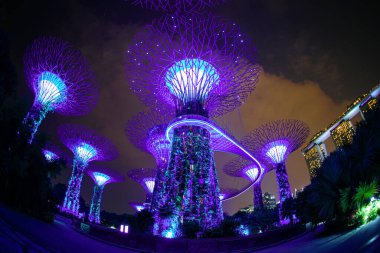 Singapur Gece Görüş Bahçesi