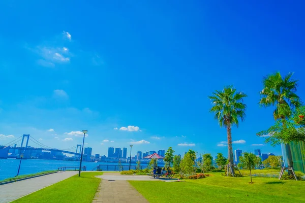 Toyosus mavi gökyüzü ve çimenli park