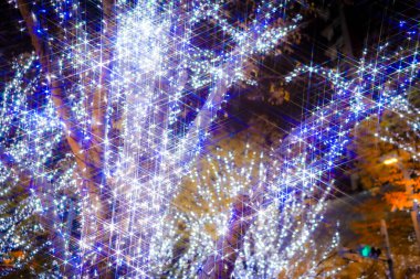 Beyaz ve mavi parlayan ağaçlar