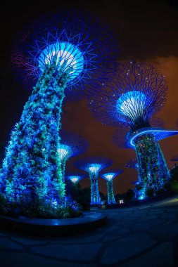 Singapur Işık Ağaçları
