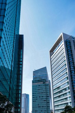 Gökdelenler mavi gökyüzünde parlıyor