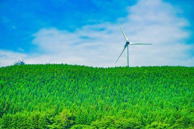 Orman tepesi ve yel değirmeni