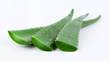 Aloe vera beyaz arka planda taze ıslak yapraklar