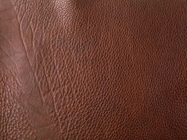 Äkta Mörkbrun Boskap Läder Konsistens Bakgrund Makrofoto — Stockfoto