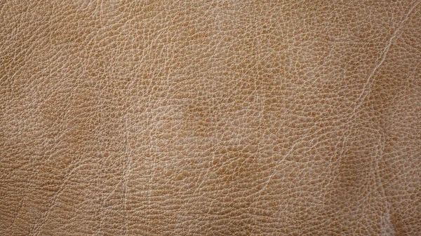 Genuine Beige Cattle Leather Texture Background Macro Photo — Stock Photo, Image