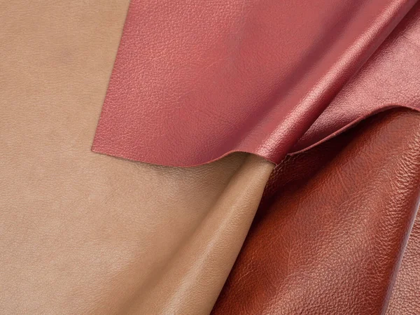 Different Colors Natural Leather Textures Samples — Stock Photo, Image