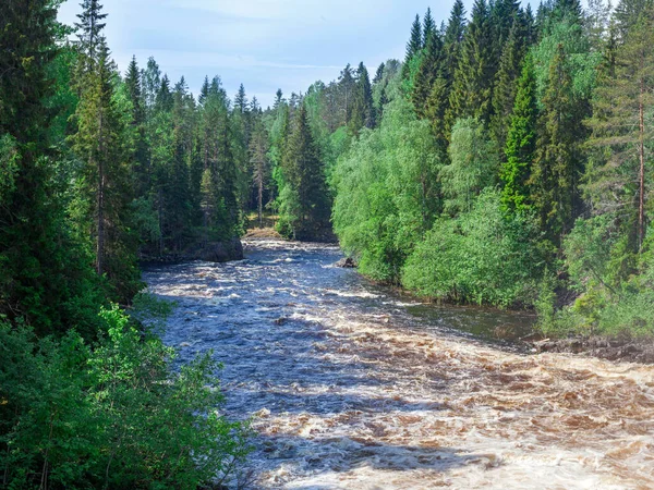 Zomer Uitzicht Rivier Bos Karelia — Stockfoto
