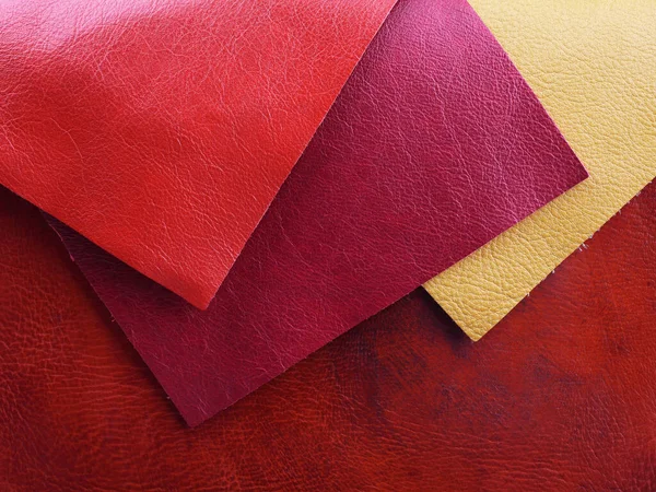 不同颜色的天然皮革在红色皮革背景上的纹理样本 — 图库照片
