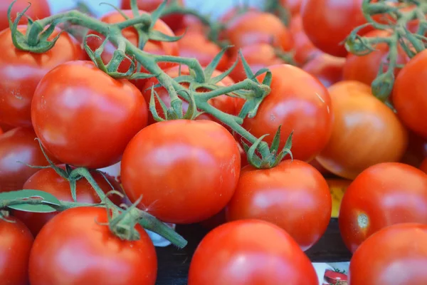 Tomates orgânicos naturais vermelhos grandes no mercado agrícola — Fotografia de Stock