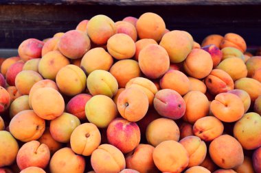 Bir sürü parlak turuncu kayısı